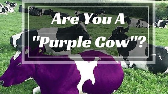 business marketing plan - purple cow