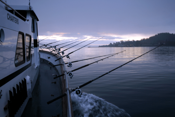 email marketing for fishing charters